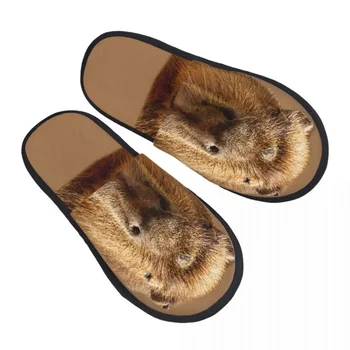  Custom Women Capybara Дремлющая на солнце Типография Тапочки Мягкая теплая пена с эффектом памяти Пушистые тапочки Внутренняя обувь на открытом воздухе