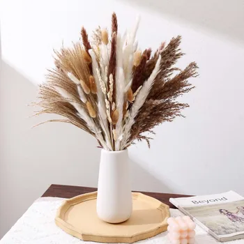натуральная пампасная трава бохо декор для вазы пушистые помпас трава сушеный цветок бохо для свадьбы цветочные композиции комната дома DIY